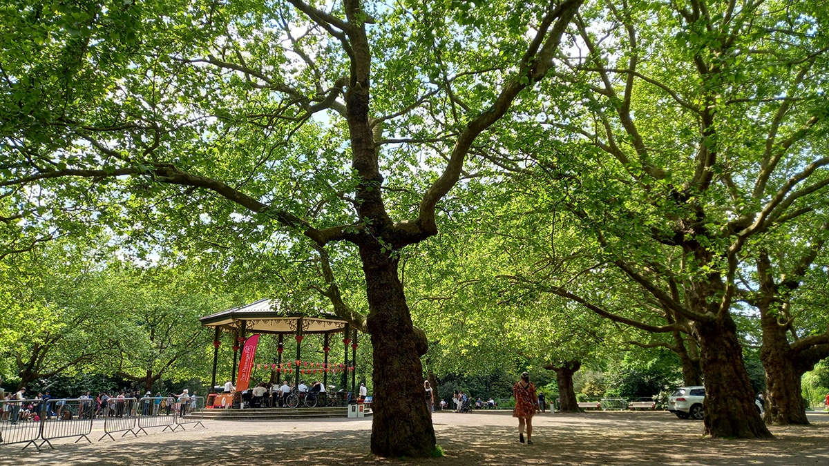 The bandstand in leafy Clapham Common