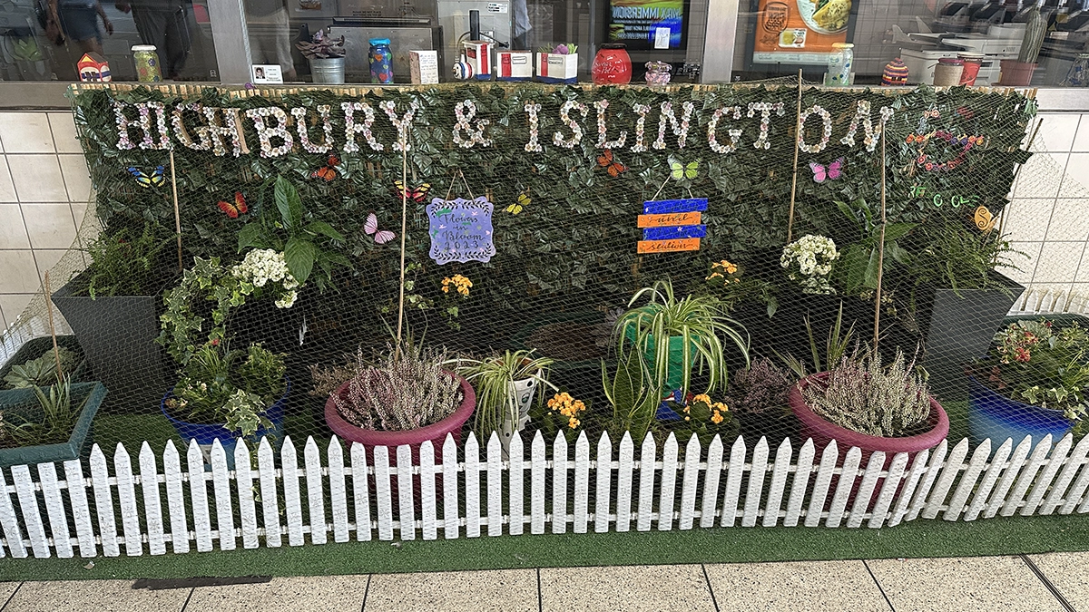 A tiny garden at Highbury and Islington Station