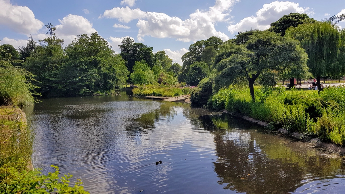 A lake surrounded by lush green trees at Ravenscourt Park