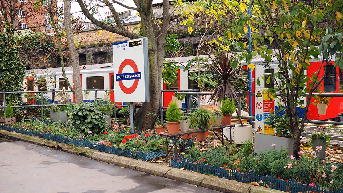 A tube roundel nestled within a community garden at South Kensington tube station